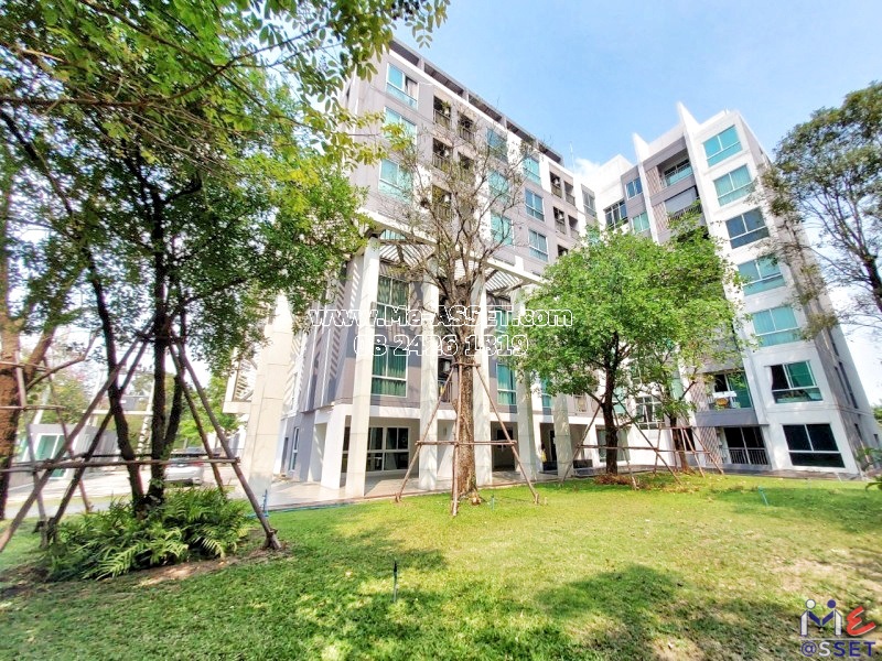 ขายและเช่า คอนโด ย่าน ศาลายา มหาสวัสดิ์ มหิดล ตั้งสิน สหพร บรมราชชนนี พุทธมณฑล : เซลศาลายา (Zelle Salaya) : 30.33 ตารางเมตร