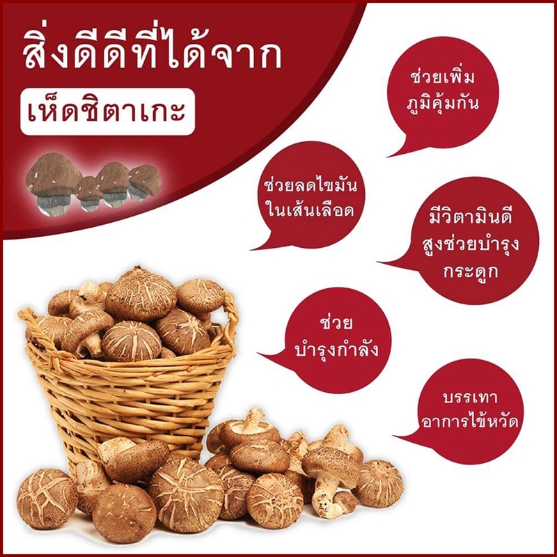 หลินจือซัน Lingzhi Sun (3 กล่อง180 แคปซูล) ผลิตภัณฑ์เสริมอาหาร บำรุงร่างกาย เห็ดหลินจือสกัด