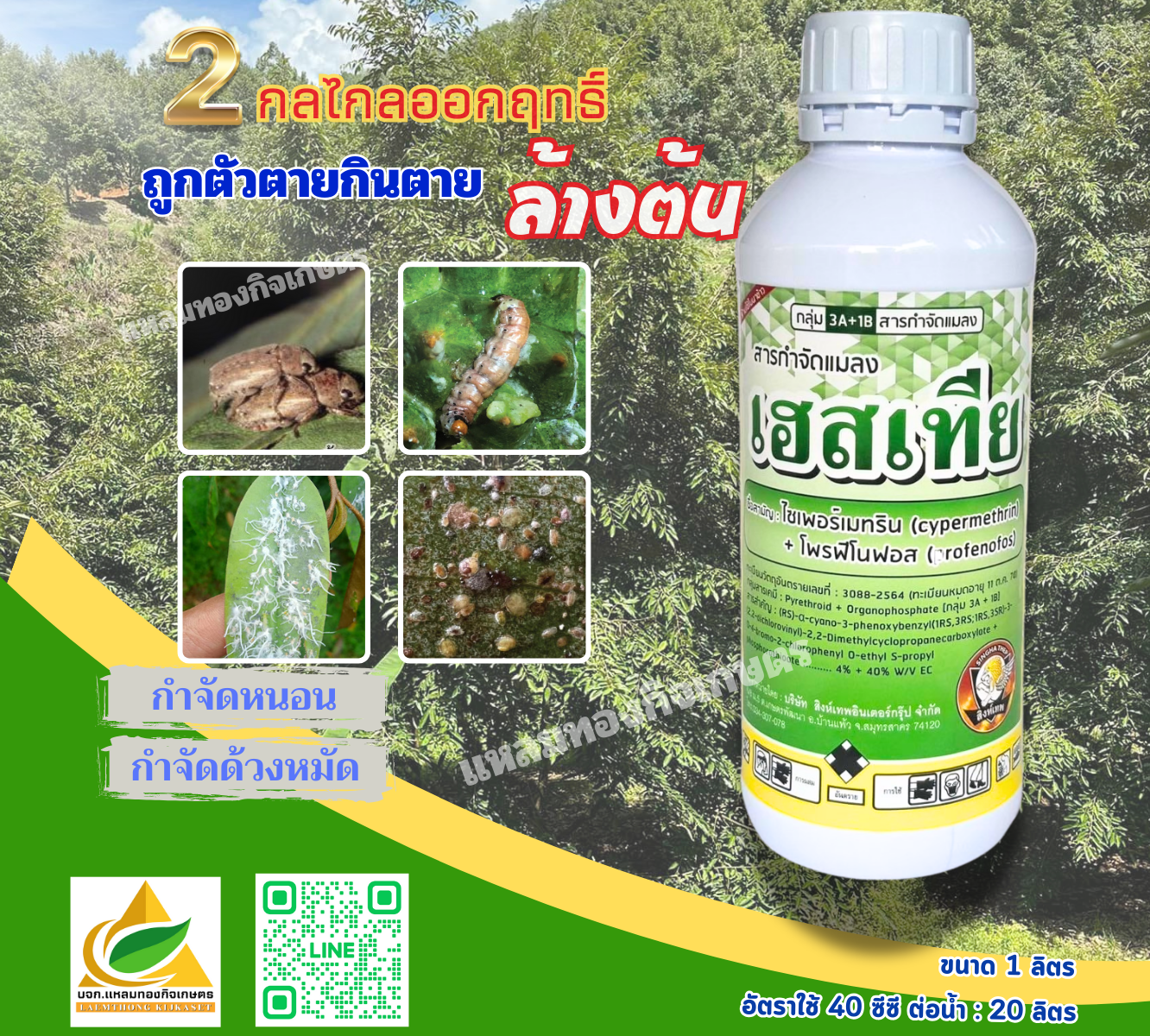 เฮสเทีย สารกำจัดแมลง ตราสิงห์เทพ ลิตร