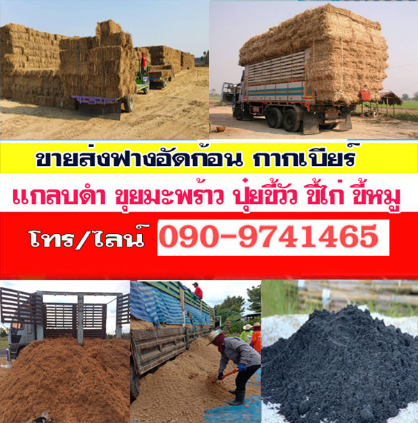 ฟางอัดก้อนราคาถูก มีบริการจัดส่ง กากเบียร์ ใช้เลี้ยงสัตว์ลดต้นทุน ขุยมะพร้าว แกลบดำ
