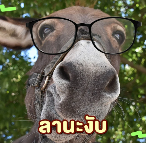 ตุ๊กตาลานะงับขวัญใจคนทำงาน