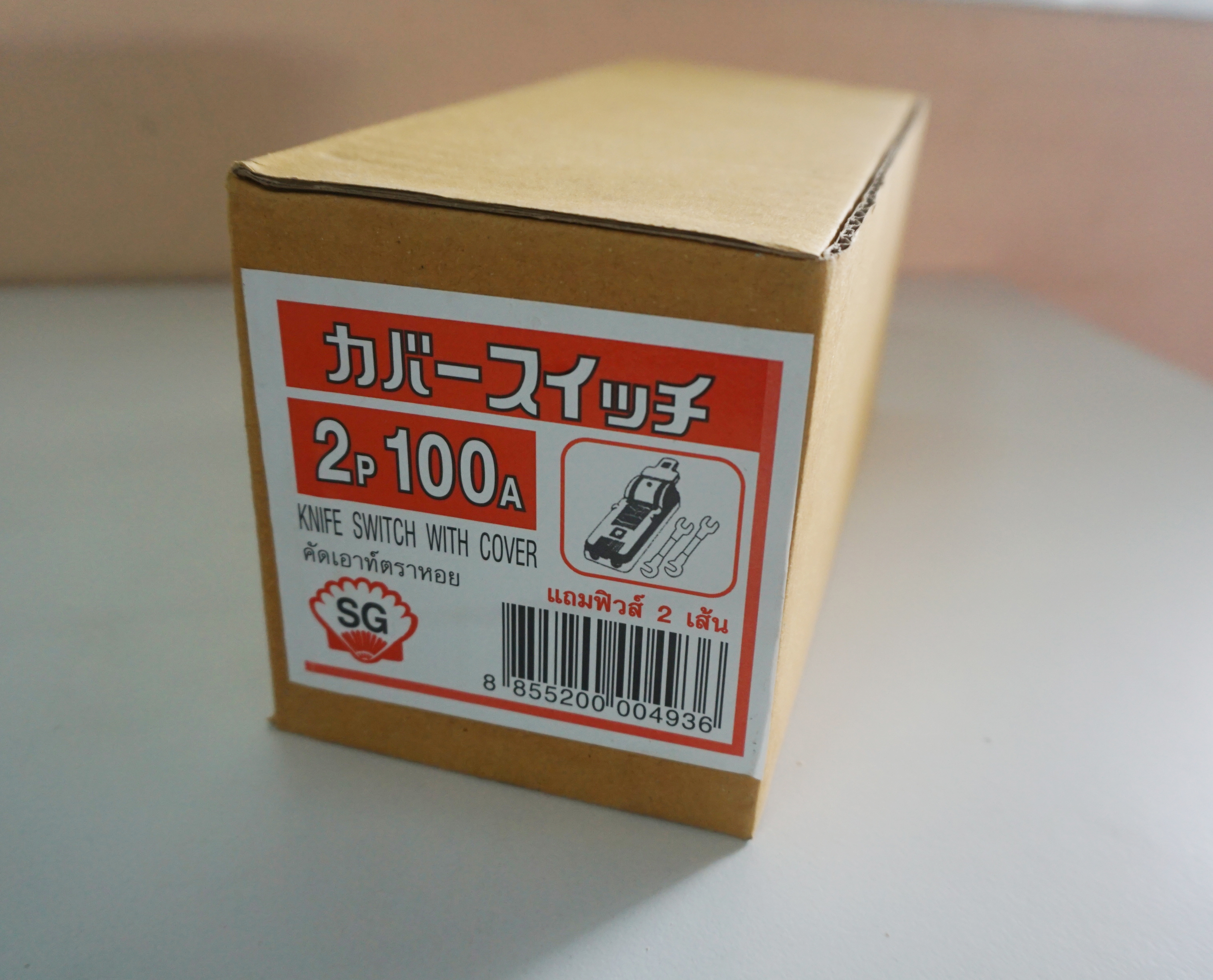 15736 คัทเอาท์ 2P 100A SG