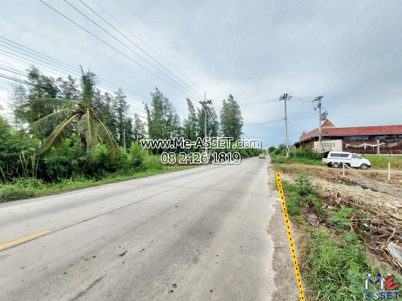 ขายที่ดินถมแล้ว ย่าน วัดมะเกลือ บางแก้วฟ้า คลองโยง ห้วยพลู ลานตากฟ้า : ใกล้คาเฟ่แมว Play With Cat Cafe : 168 ตร.วา