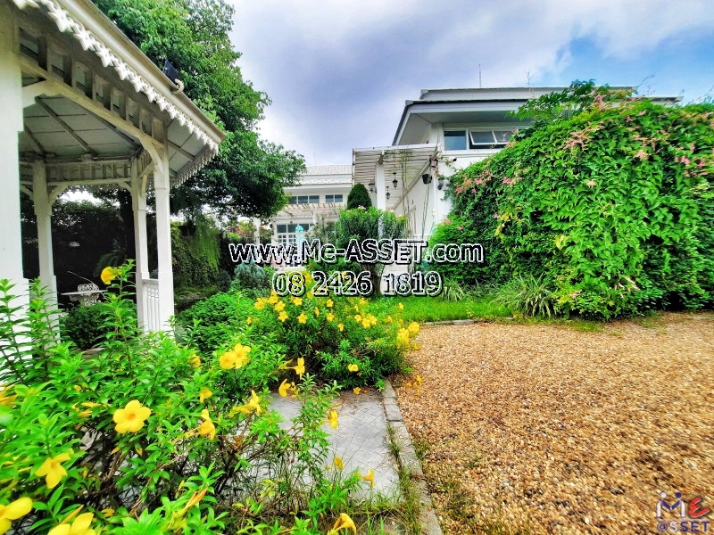 ขายที่ดินพร้อมสิ่งปลูกสร้าง ย่าน สวนตะไคร้ สนามจันทร์ พระปฐมเจดีย์ เซ็นทรัลนครปฐม : ใกล้มหาวิทยาลัยศิลปากร : 1.5 ชั้น 197 ตร.วา