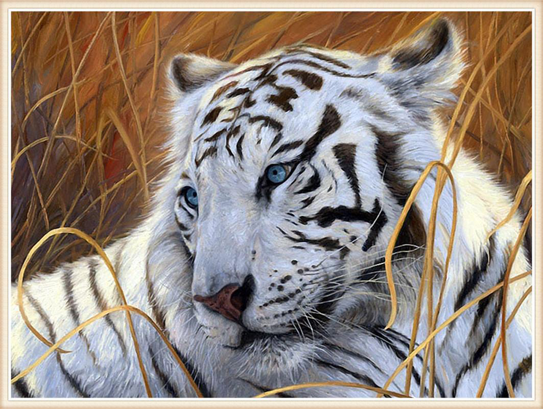 ชุดภาพติดคริสตัลกลม ลายเสือขาว (งานติดเต็มภาพ) ขนาด 50*40 ซม.ผ้าแคนวาส ลงกาวติดเต็มลาย+คริสตัลกลม 25 สี+อุปกรณ์ครบชุด