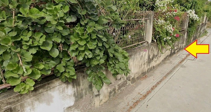 ขายที่ดิน 204 ตร.ว. โชคชัย 4 ซอย 82 ลาดพร้าว ตร.ว.ละ 9.8 หมื่นบาท