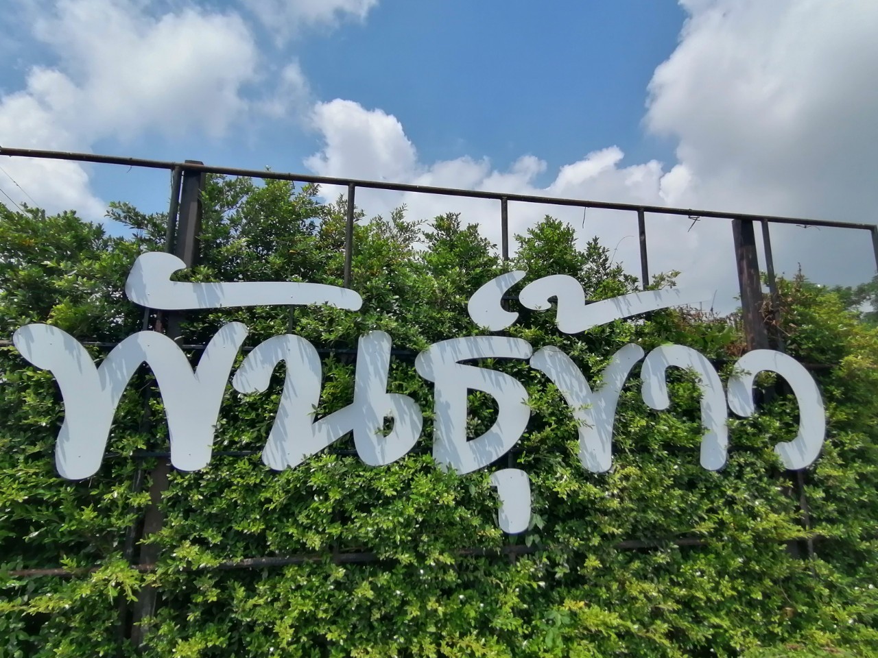 ป้ายอักษรพลาสวูด ''พันธ์ข้าว''