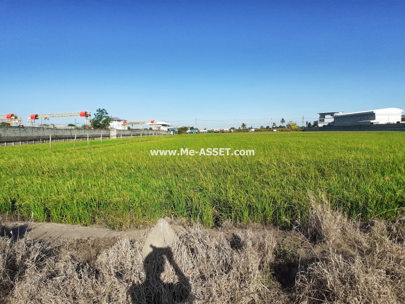 ขายที่ดินเปล่า ถ.พิชัยเขต ต.ศาลากลาง อ.บางกรวย นนทบุรี ใกล้ ม.มหิดล / พื้นที่ 5 ไร่