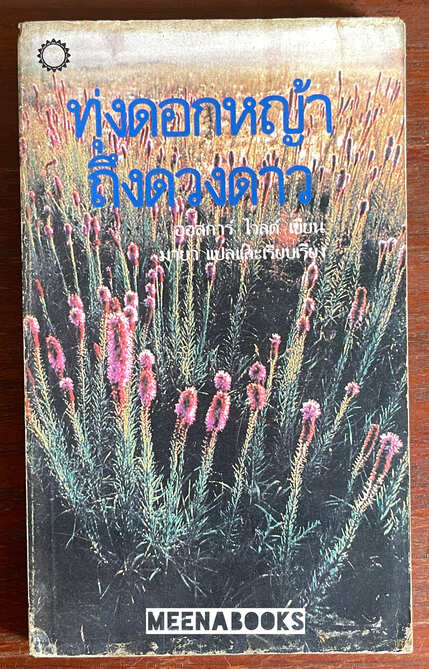 ทุ่งดอกหญ้าถึงดวงดาว