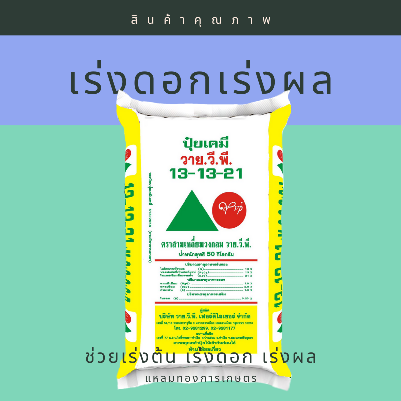 13-13-21 YVP ตราสามเหลี่ยมวงกลม