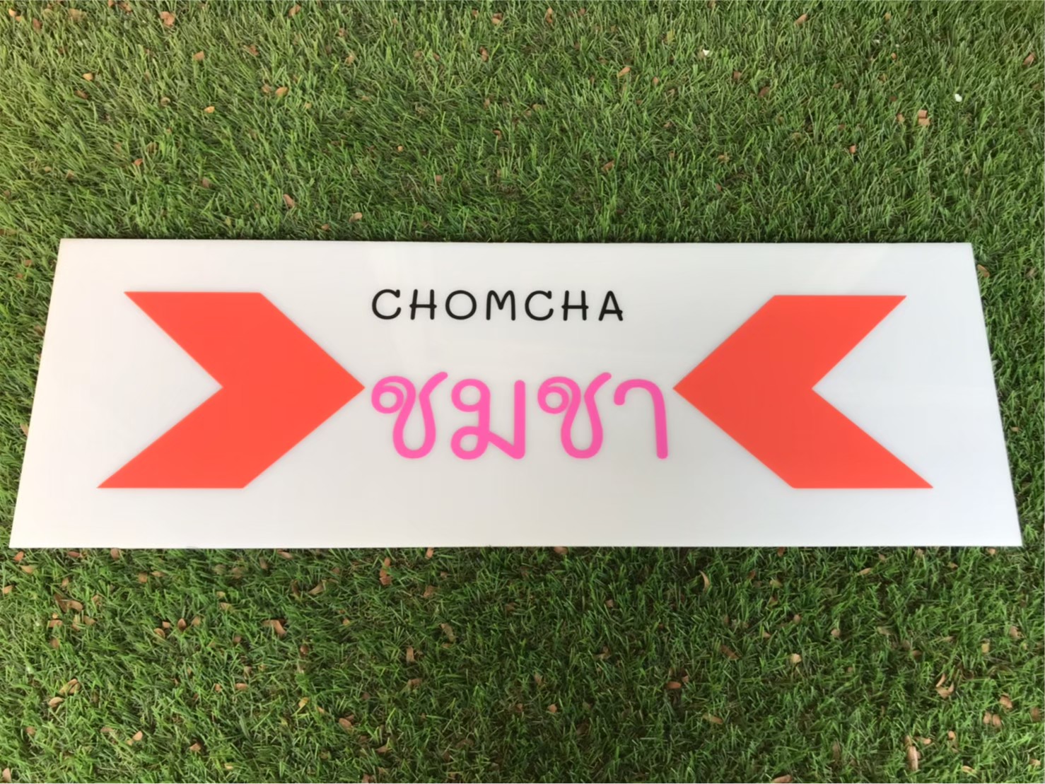 ป้ายสกีน