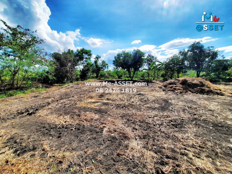 ขายที่ดินพร้อมสิ่งปลูกสร้าง ย่าน วังเย็น บางแขม อำเภอเมืองนคปฐม : ใกล้สนามกอล์ฟยูนิแลนด์ : 2-0-49.2 ไร่