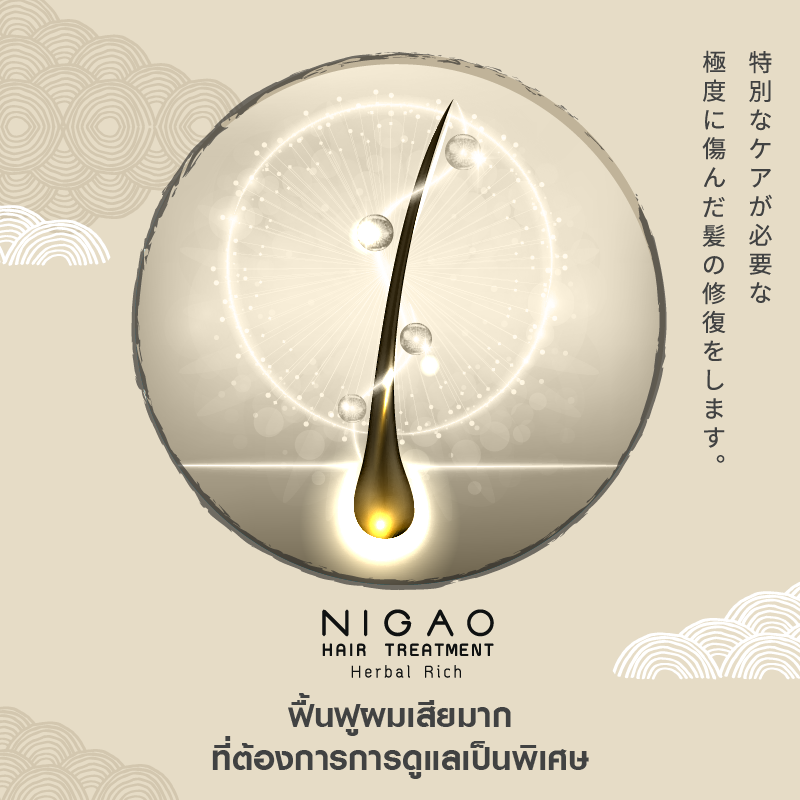 แท้พร้อมส่ง‣ Nigao Hair Treatment Herbal Rich 450ml นิกาโอะ แฮร์ ทรีทเม้นท์ เฮอร์บัล ริช