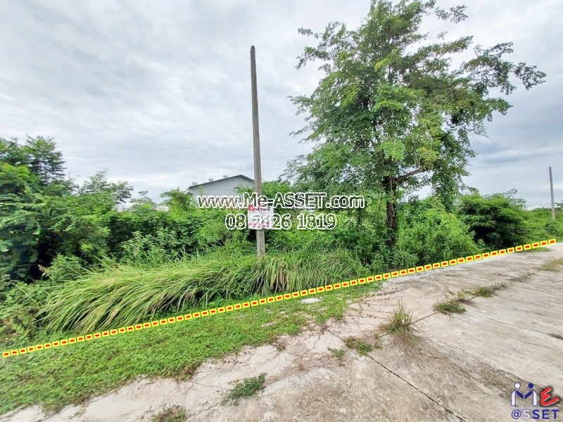 ขายที่ดินเปล่า ย่าน สามพราน ไร่ขิง นครชัยศรี บรมราชชนนี : ออมไทย : 100 ตร.วา (มี 2 แปลงติดกัน)