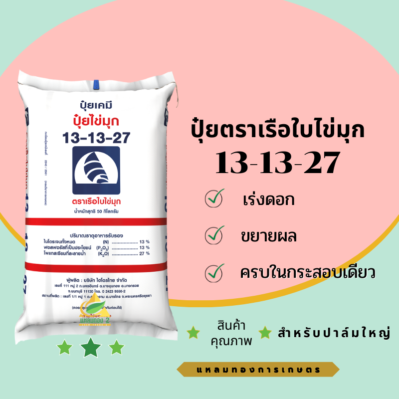 13-13-27 เรือใบไข่มุก