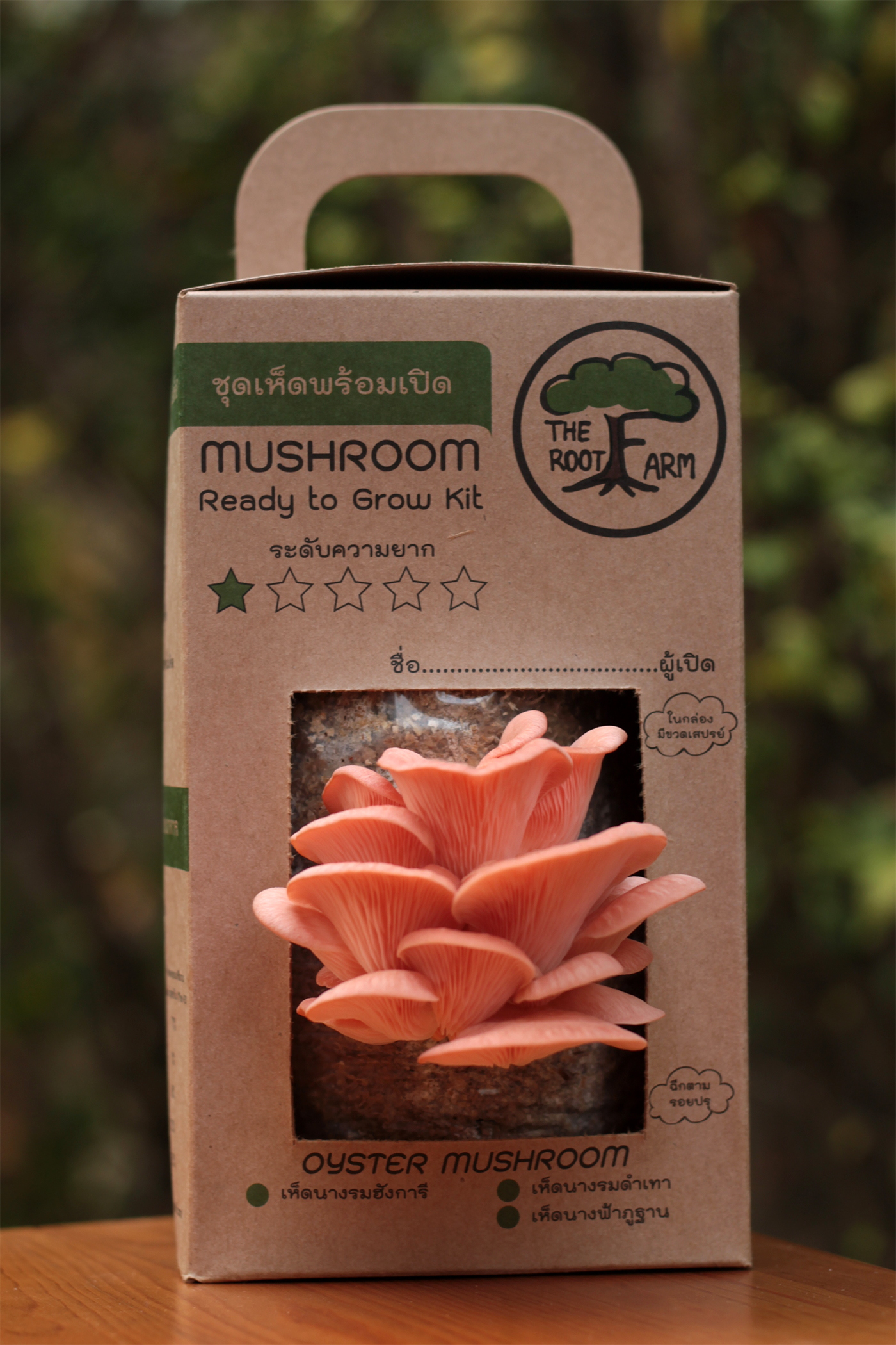ชุดคิทเห็ดนางนวลพร้อมเปิด (Mushroom Ready To Grow Kit)