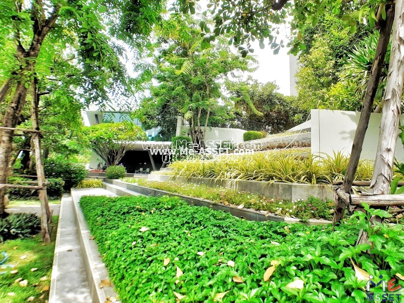 ขายและเช่า คอนโด ย่าน ศาลายา มหาสวัสดิ์ มหิดล ตั้งสิน สหพร บรมราชชนนี พุทธมณฑล : เซลศาลายา (Zelle Salaya) : 30.33 ตารางเมตร