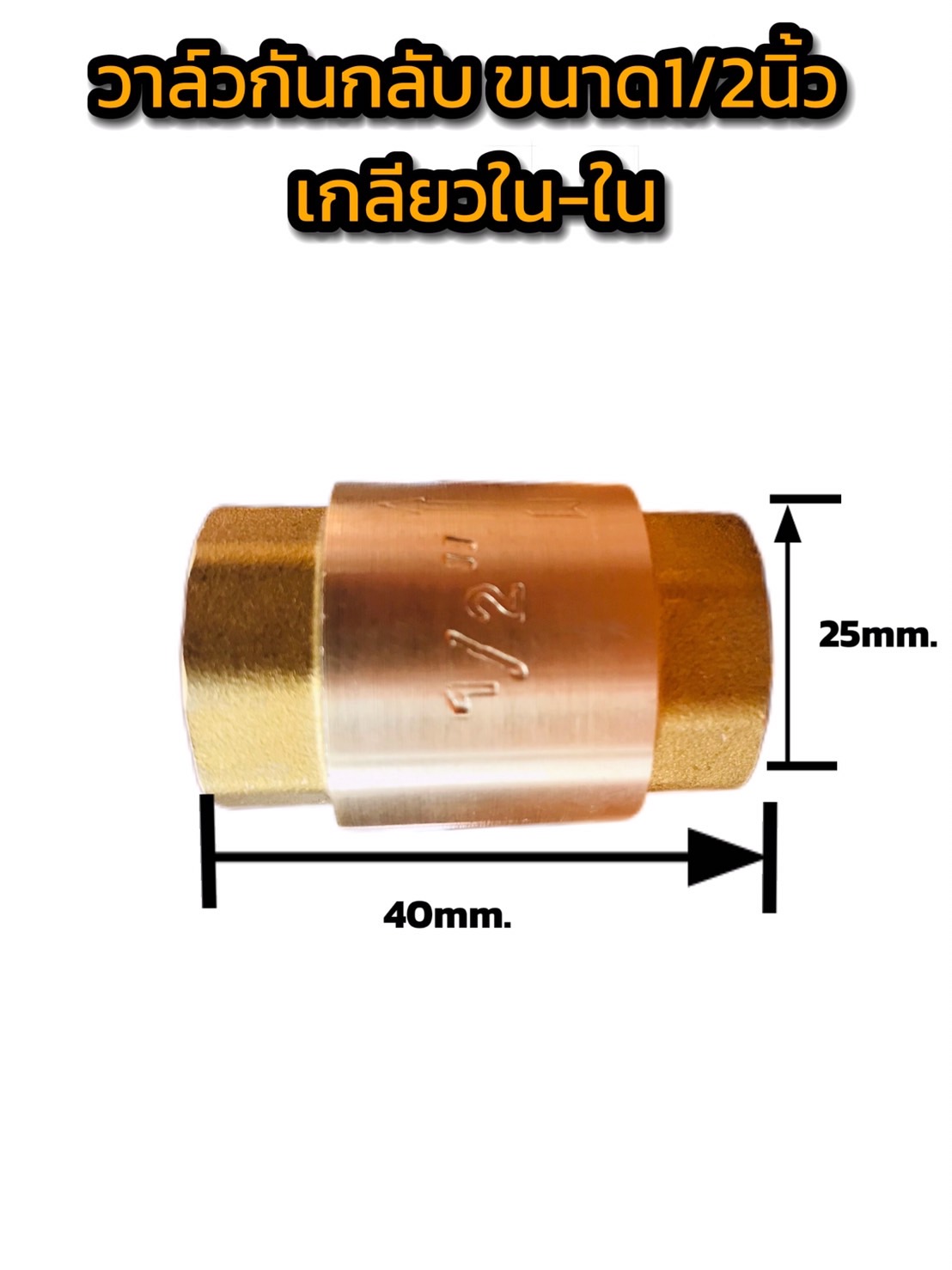 เช็ควาล์วกันกลับทองเหลือง ขนาด 1/2 นิ้ว เกลียวใน-ใน ( Brass Check Valve 1/2" Female to Female Thread )#00006
