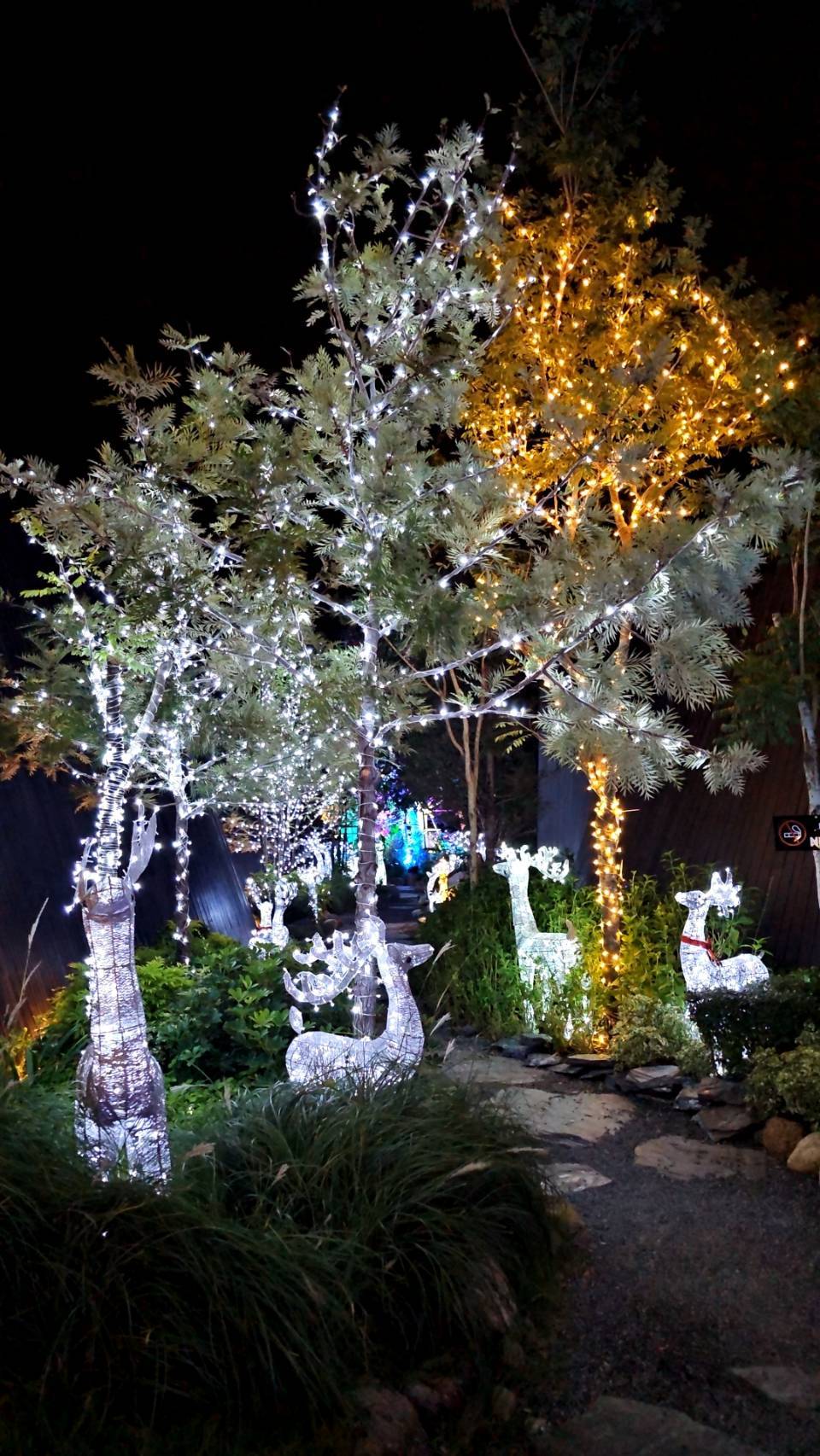 แบบการตกแต่งไฟต้นไม้ สินค้าจัดแต่งงานเลี้ยงวันคริสต์มาสปลอม สวยๆ