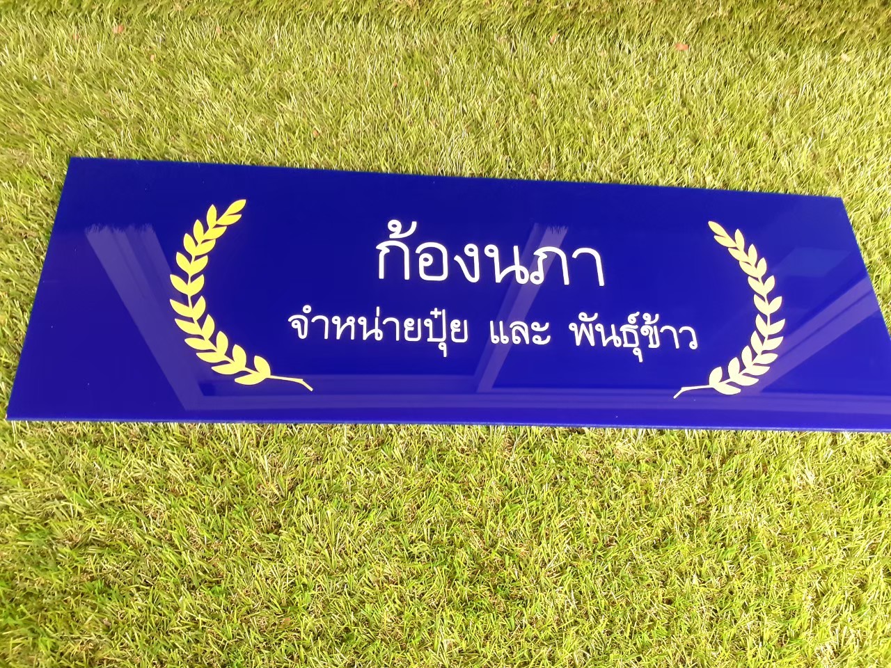 ป้ายสกีน