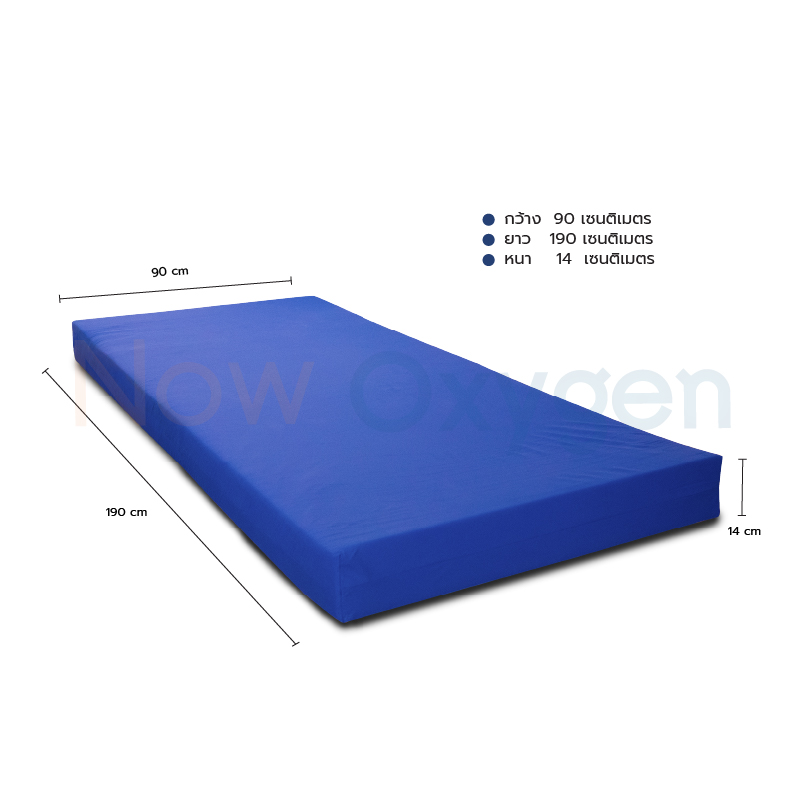 🇺🇸 ที่นอนโฟม ป้องกันแผลกดทับ 2 Layer (ป้องกันระดับสูง) สำหรับผู้ป่วย ผู้สูงอายุ Devilbiss รุ่น Gravimed Protexx รับประกันศูนย์ไทย 5 ปี