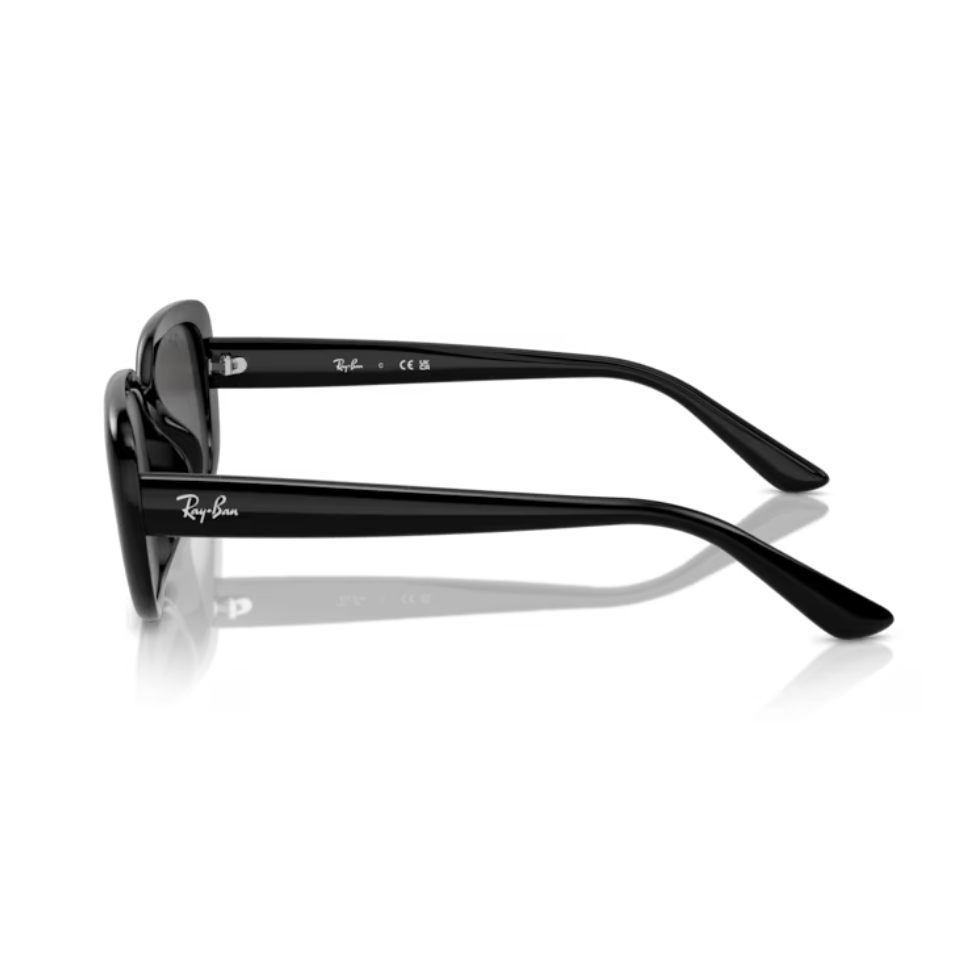 แว่นกันแดด Ray-Ban RB4421D 6677/87 สีดำ