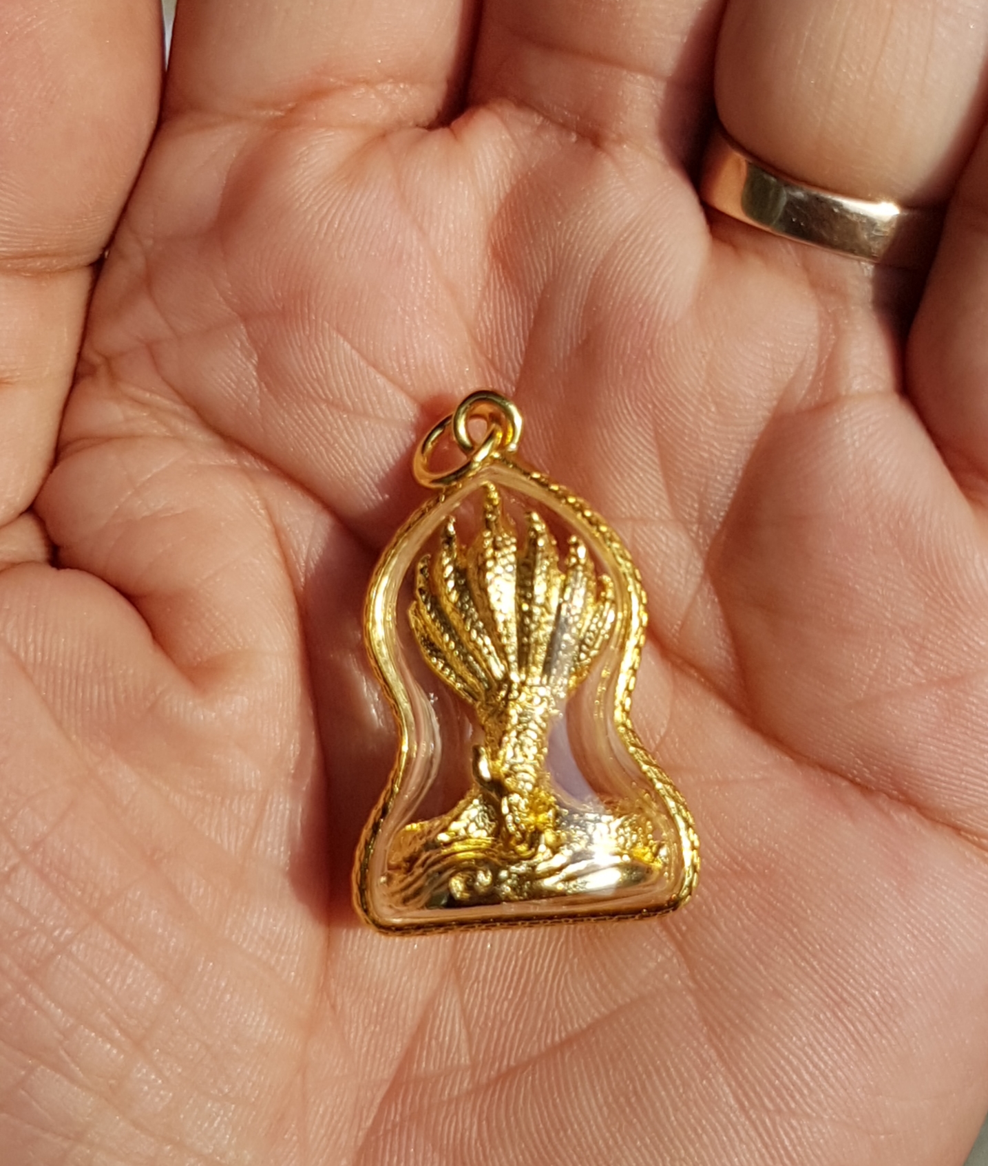 จี้พญานาคเจ็ดเศียรเล็ก พร้อมกรอบกันน้ำห้อยคอ โชคลาภถูกเลขเบอร์ใหญ่ ปลุกเสกแล้ว (ไม่รวมสร้อย) มีของพร้อมส่งคะ ฟรียันต์