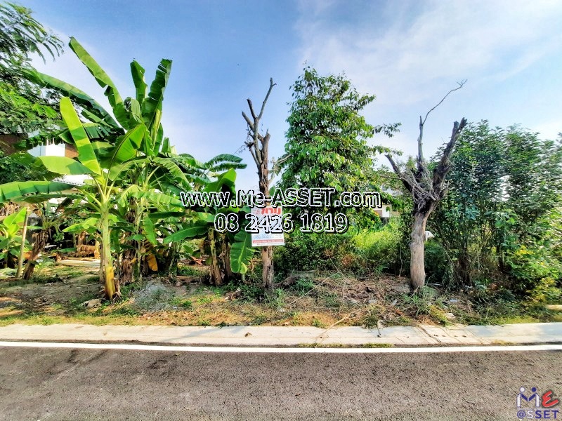 ขายที่ดินถมแล้ว ย่าน ศาลายา มหาสวัสดิ์ มหิดล บรมราชชนนี : ซ.สหพร 15 ใกล้ ม.มหิดล 800 เมตร : 100 ตารางวา