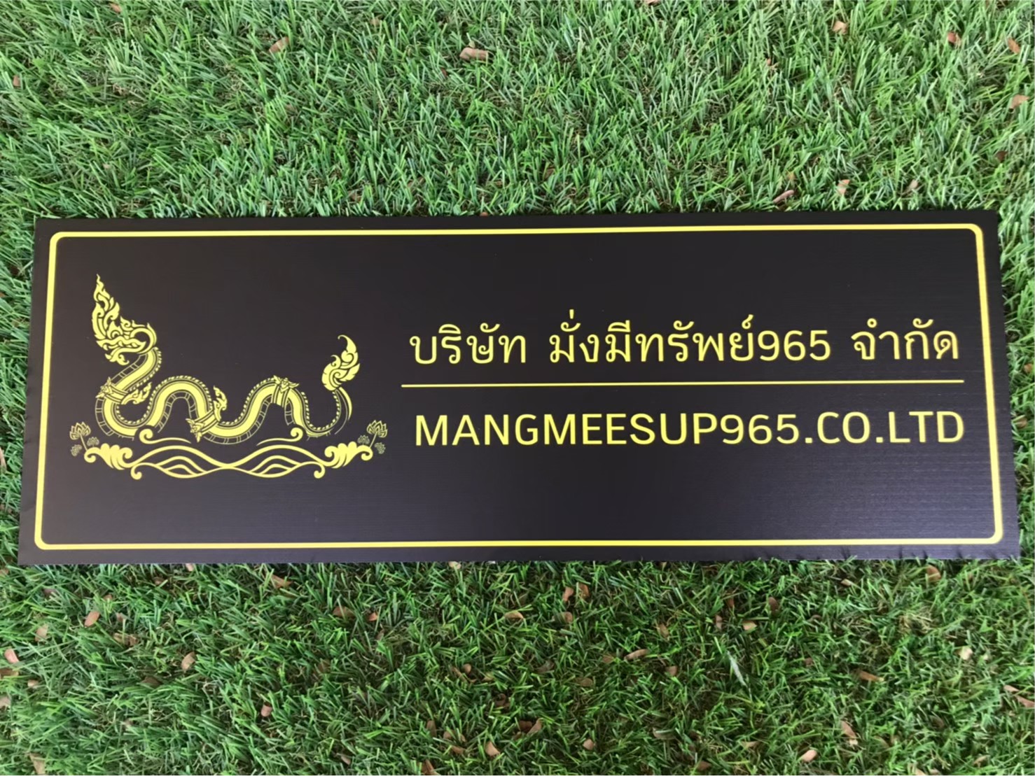 ป้ายสกีน