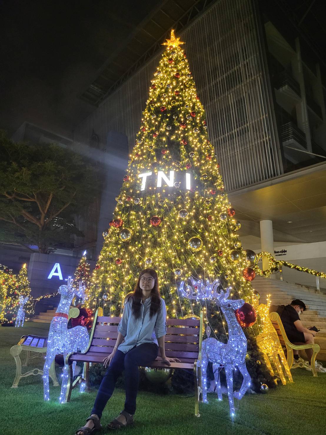 แบบการจัดแต่งสีสันของตกแต่งงานเลี้ยงวันคริสต์มาสยอดนิยม