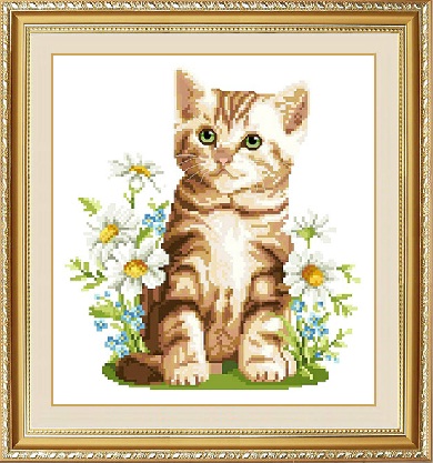 Summer kitten (ไม่พิมพ์ลาย)