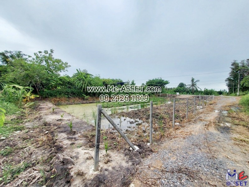 ขายที่ดินเปล่า ย่าน วัดมะเกลือ บางแก้วฟ้า คลองโยง ห้วยพลู ลานตากฟ้า : ใกล้คาเฟ่แมว Play With Cat Cafe : 169 ตร.วา