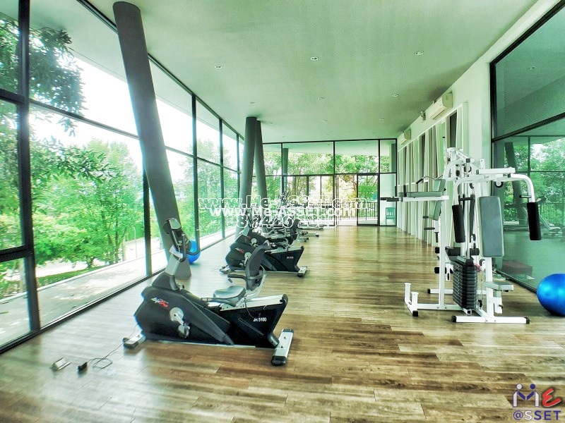 ขายและเช่า คอนโด ย่าน ศาลายา มหาสวัสดิ์ มหิดล ตั้งสิน สหพร บรมราชชนนี พุทธมณฑล : เซลศาลายา (Zelle Salaya) : 30.33 ตารางเมตร