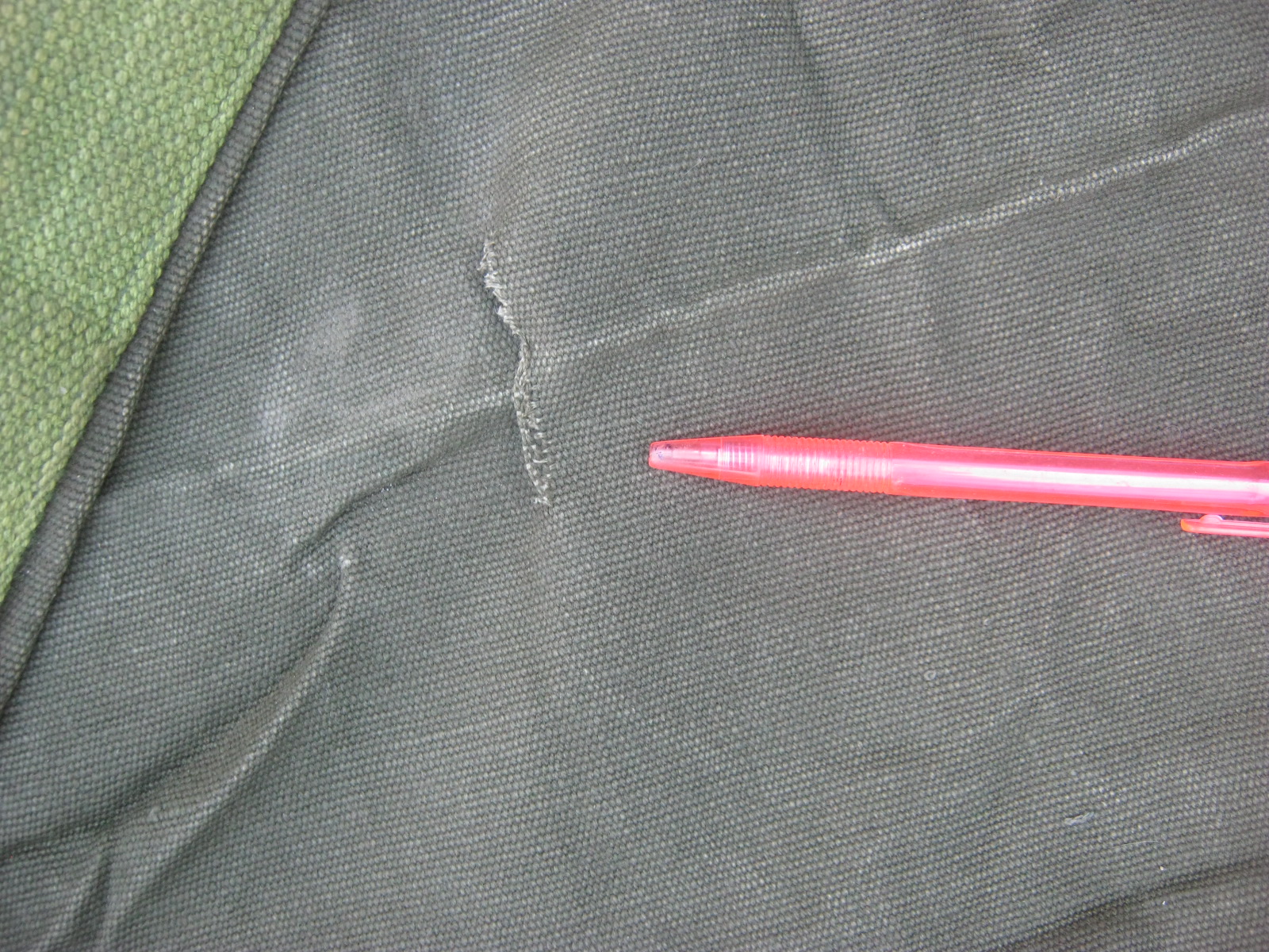 ถุงทะเลยุโรป สะสม