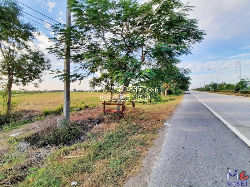 ขายที่ดินเกษตร ย่าน ไร่รถ หนองนา จิกรากข่า หนองแจง ดอนเจดีย์ อำเภอเมือง สุพรรณบุรี : ใกล้ อบต.ไร่รถ : 13 ไร่