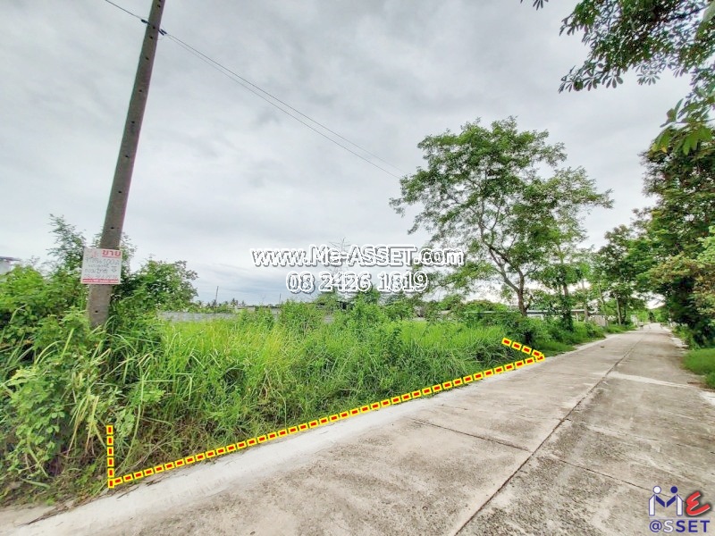 ขายที่ดินเปล่า ย่าน สามพราน ไร่ขิง นครชัยศรี บรมราชชนนี : ออมไทย : 100 ตร.วา