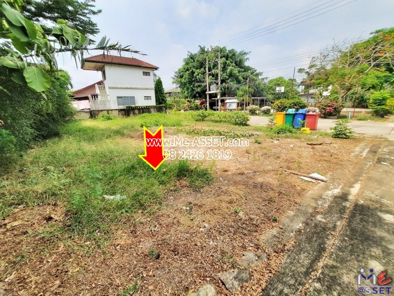 ขายที่ดินจัดสรร ถมแล้ว ย่าน ศาลายา บางภาษี คลองโยง มหาสวัสดิ์ ดาวทอง : ม.พุทธมณฑลแลนด์ : 62 ตร.วา