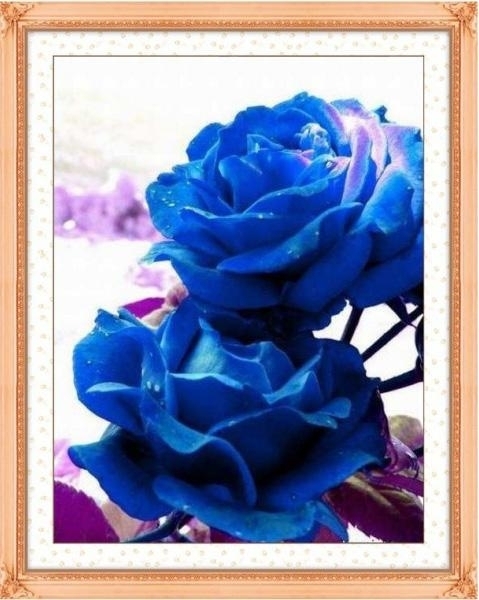 ชุดปักครอสติช ลายกุหลาบสีน้ำเงิน (ไม่มีเดินเส้น) ขนาด 71*85 ซม.ผ้าครอสติช 11CTพิมพ์ลายปักบนผ้า+ไหมคอตตอน 34 สี+ผังลาย+เข็ม