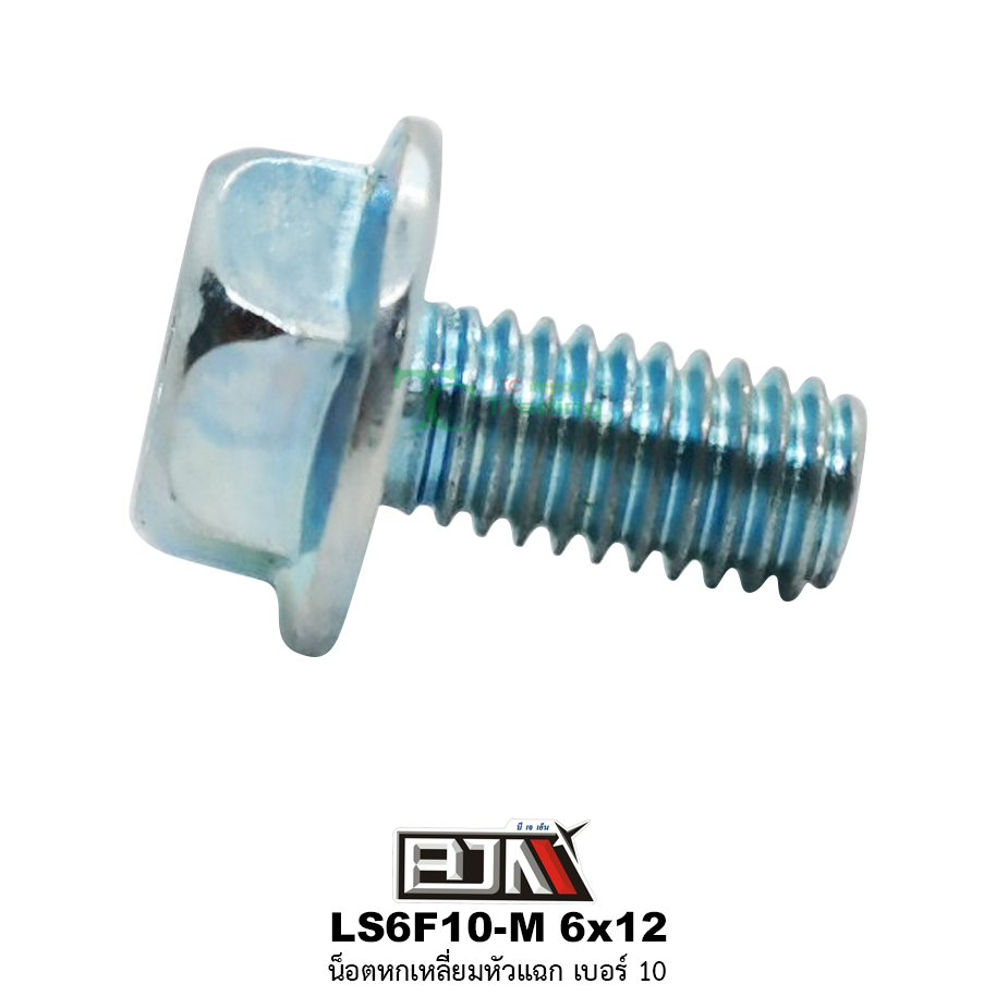LS6F10-M 6x12 น็อตหกเหลี่ยมหัวแฉกเบอร์ 10 ( 1 ถุงมี 50 ตัว )