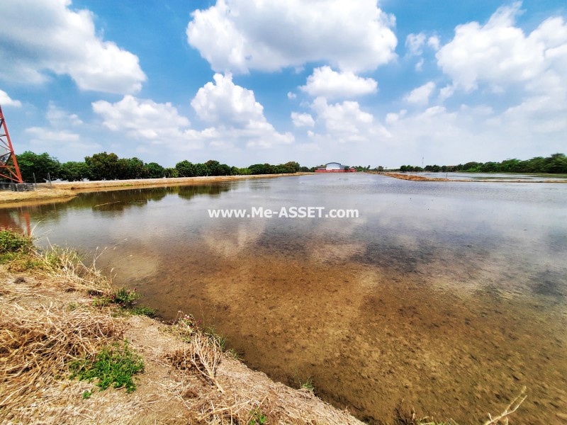 ขายที่ดินเปล่า ถ.เทพนิมิตร-ลานตากฟ้า ซ.ดาวทอง ต.ลานตากฟ้า อ.นครชัยศรี นครปฐม ถูกที่สุดในย่านนี้ / พื้นที่ 6 ไร่