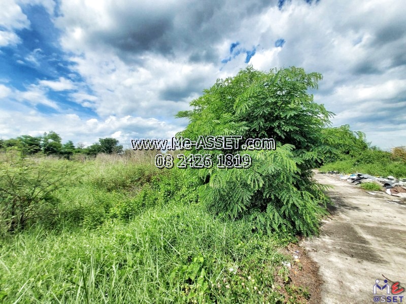 ขายที่ดินเปล่า ย่าน บึงทองหลาง ลำลูกกา คลอง11 : ใกล้บริษัทกิตติแมนูแฟคเจอร์ริ่ง : มี 5 แปลง / 100-200 ตร.วา / ราคาตารางวาละ 4,250 - 5,000 บาท