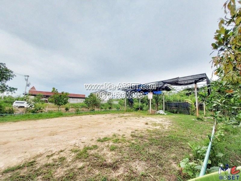 ขายที่ดินถมแล้ว ย่าน วัดมะเกลือ บางแก้วฟ้า คลองโยง ห้วยพลู ลานตากฟ้า : ใกล้คาเฟ่แมว Play With Cat Cafe : 168 ตร.วา