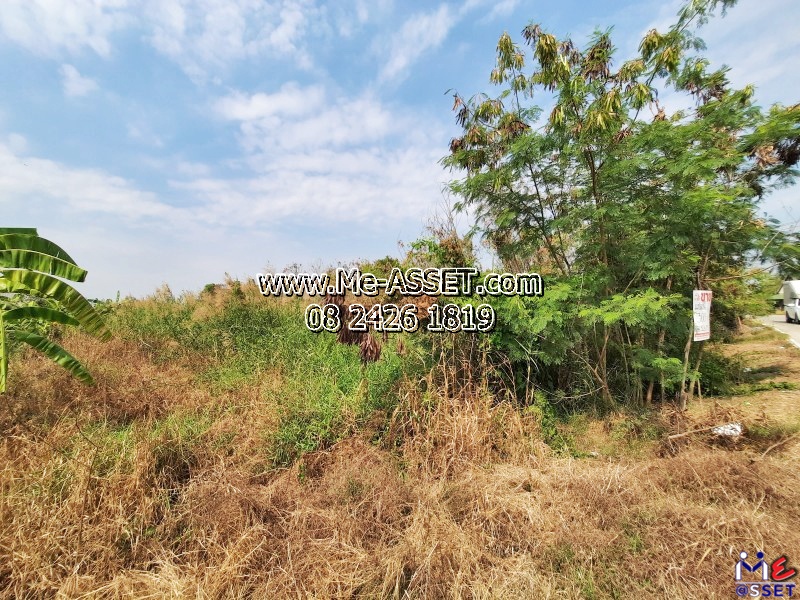 ขายที่ดินถมแล้วบางส่วน ย่าน วัดเสนีวงศ์ วัดมะสง เลียบคลองกำนันชื่น หนองเพรางาย ไทรน้อย : ซ.วัดเสนีวงศ์ : 300 ตร.วา