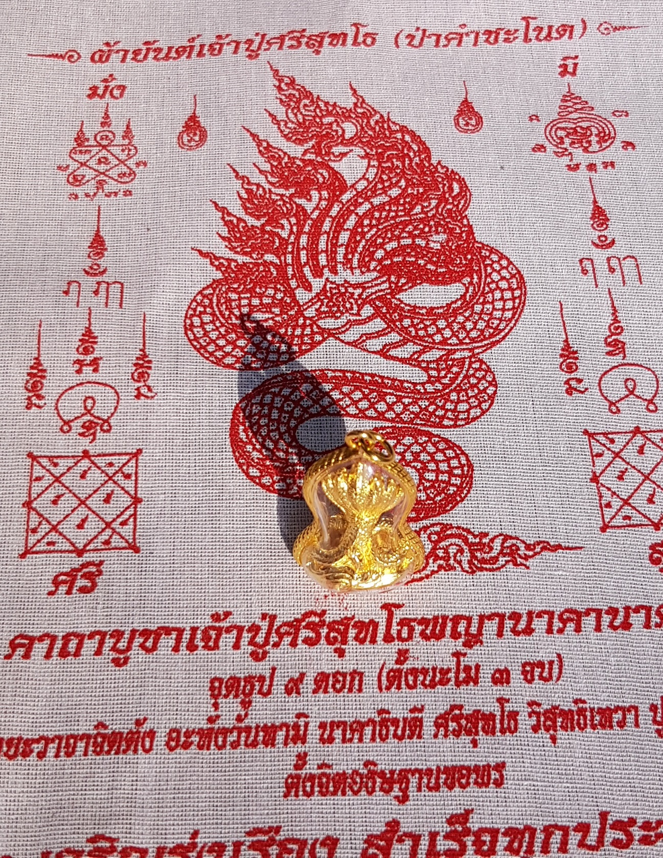 จี้พญานาคเจ็ดเศียรเล็ก พร้อมกรอบกันน้ำห้อยคอ โชคลาภถูกเลขเบอร์ใหญ่ ปลุกเสกแล้ว (ไม่รวมสร้อย) มีของพร้อมส่งคะ ฟรียันต์