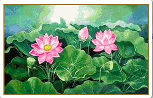 บัวกลางบึง-1