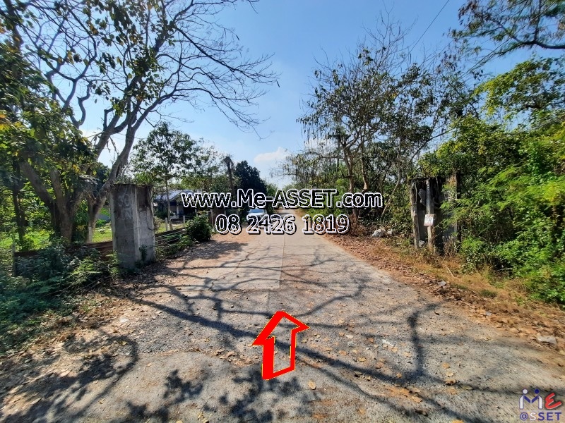 ขายที่ดินเปล่า ย่าน คลอง13 หนองงูเหลือม หนองสามวัง หนองเสือ ปทุมธานี : ใกล้ไพลินพันธุ์ไม้ ซ.อู่ช่างลี : 150 ตร.วา