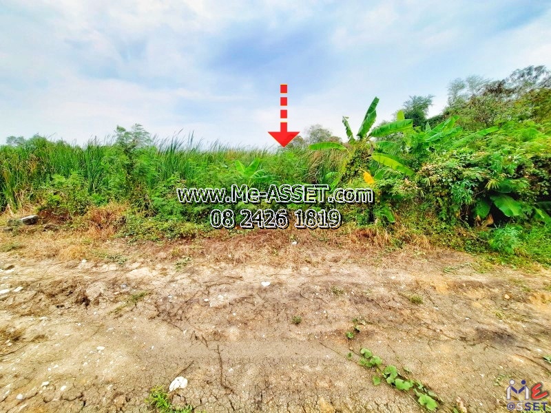 ขายที่ดินเปล่า ย่าน พุทธมณฑลสาย3 บรมราชชนนี ศาลาธรรมสพน์ ทวีวัฒนา : หมู่บ้านเปรมวดี แยก 6-14-4-2 : 136 ตร.วา