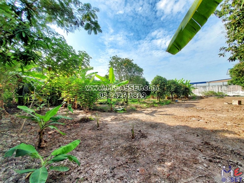 ขายที่ดินถมแล้ว ย่าน ลานตากฟ้า มหาสวัสดิ์ งิ้วราย ดาวทอง : ใกล้ ม.พฤกษา 4 : 200 ตารางวา