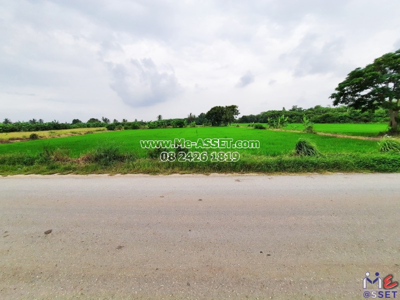 ขายที่ดินเปล่า ย่าน ลานตากฟ้า มหาสวัสดิ์ ดอนแฝก : ใกล้ ปายนาคาเฟ่ : 3-3-70 ไร่ มี 2 แปลงติดกัน