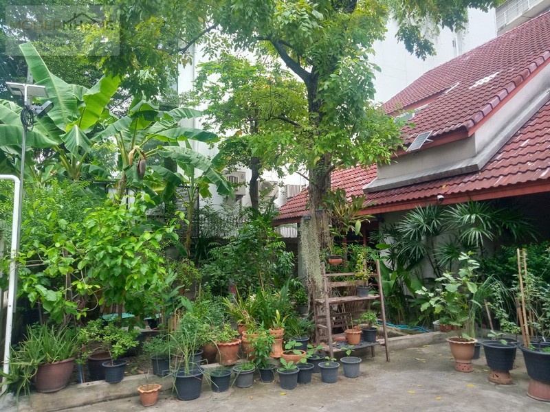 MH66016 ขายบ้านเดี่ยว 2 ชั้น ซอยอินทราภรณ์ 7 ถนนประดิษฐ์มนูธรรม เขตวังทองหลาง กรุงเทพมหานคร
